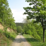 Heuerweg am Wixberg